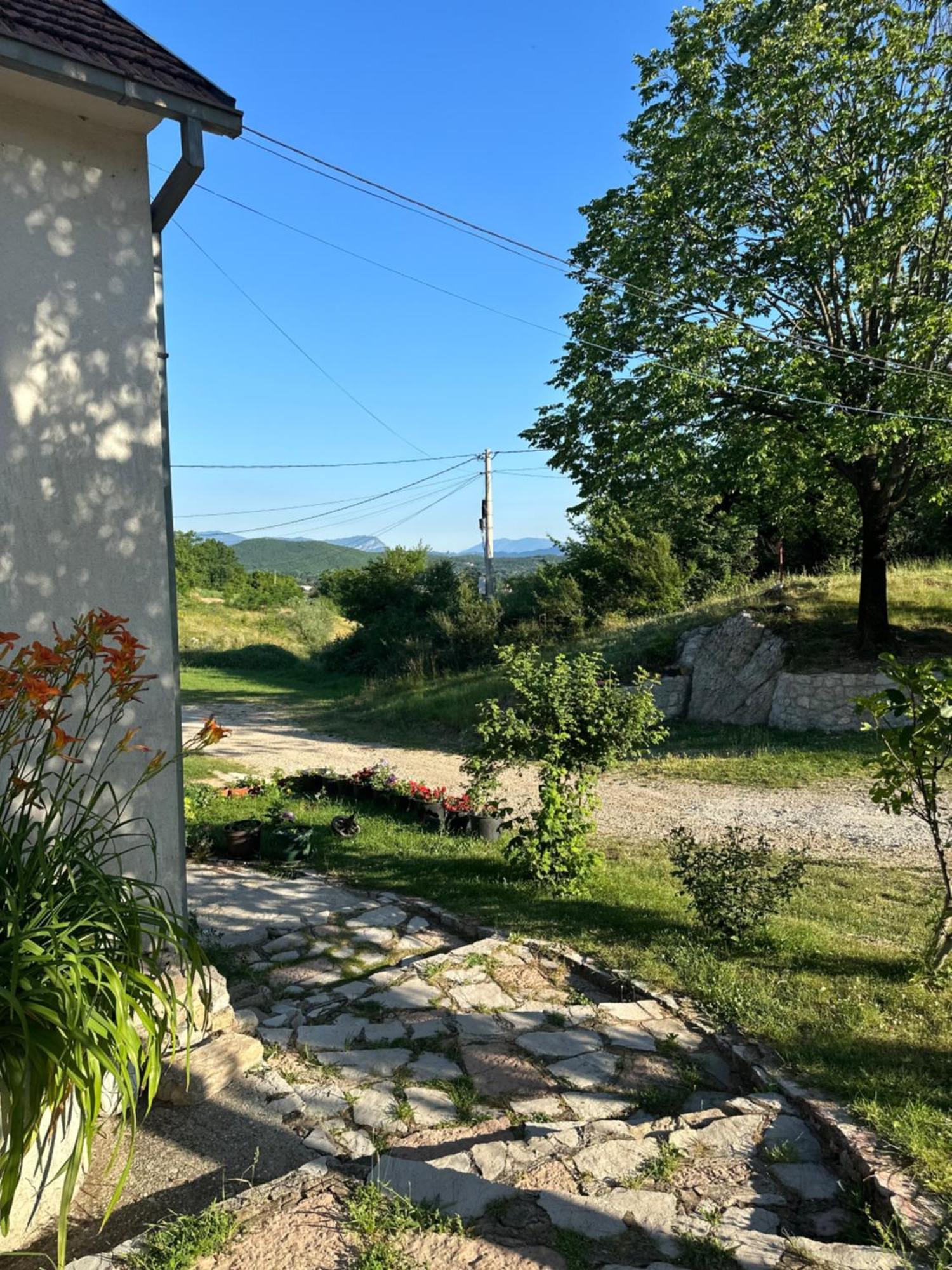 Nikšić Gazdinstvo Tadic旅馆 外观 照片